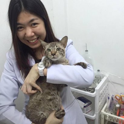 แมวเก้า เก้าชีวิตผู้พิชิตโรคร้าย